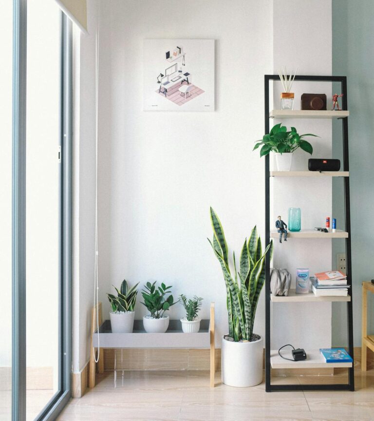 Innovative Raumgestaltung mit modularen Pflanzenwänden